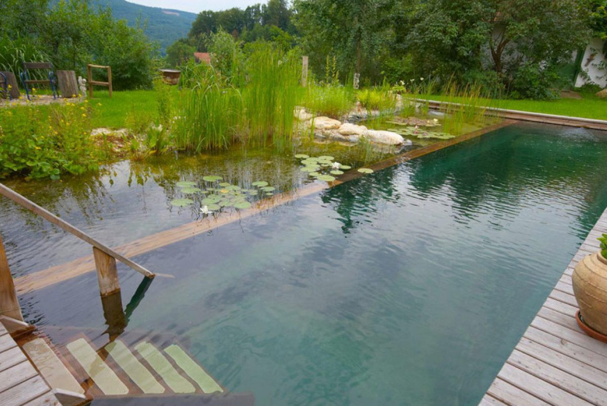Как сделать пруд на даче своими руками пошагово | Gartenteich, Naturschwimmbecken, Teichlandschafts